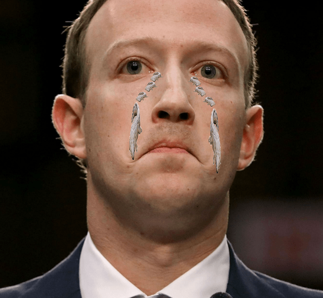 1608166435314.png