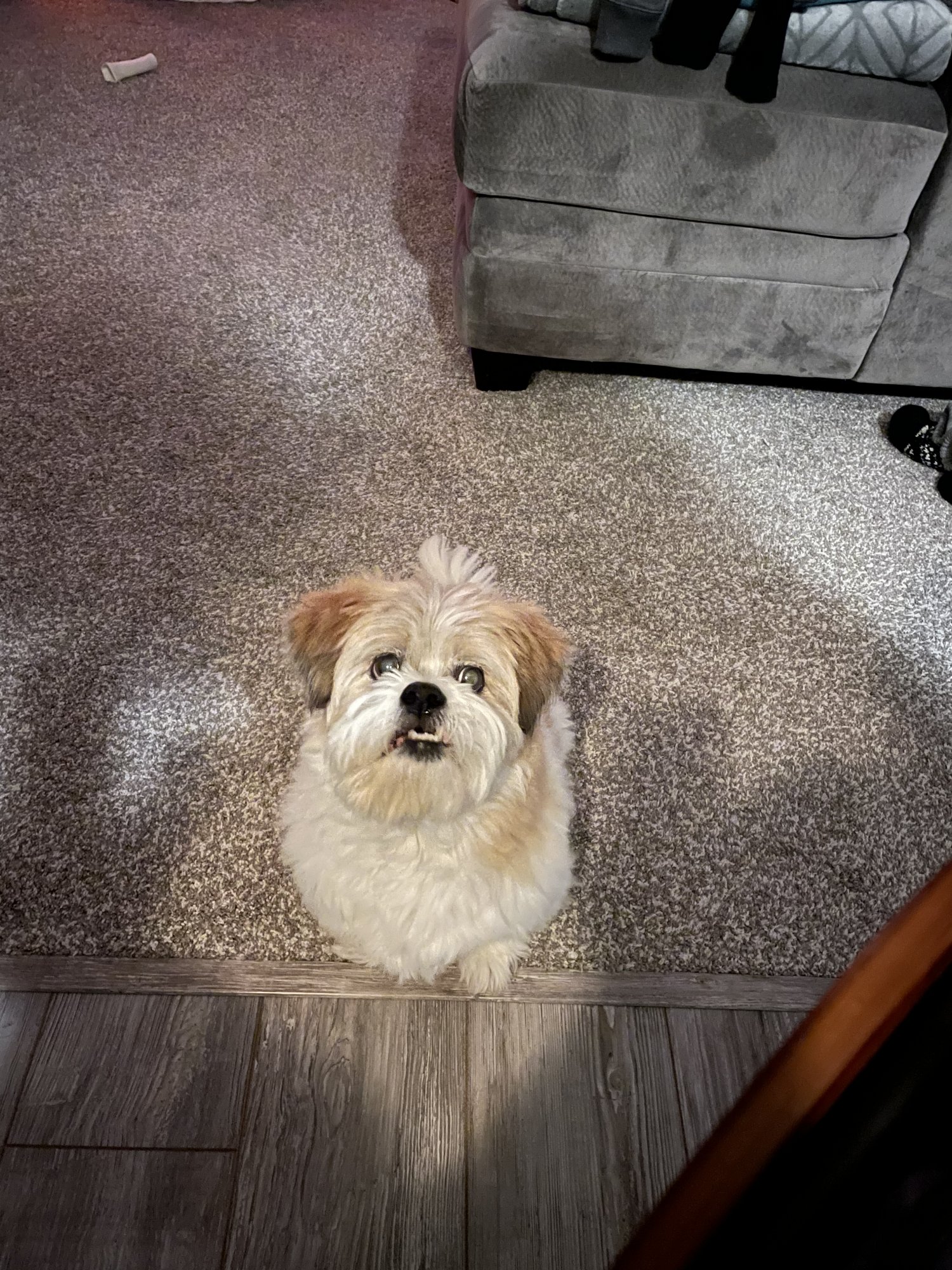 16103593-C9BB-4B36-B110-7516648A9401.jpeg