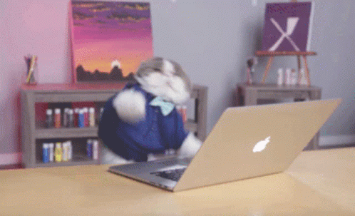 1614322529945.gif
