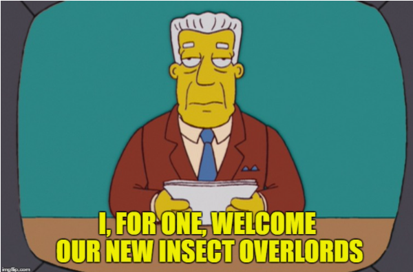 1615220622539.png