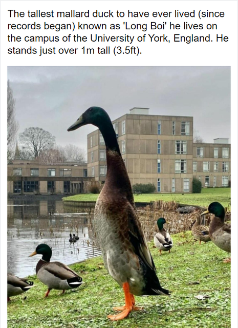 1620429731556.png