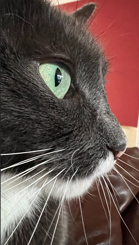 1633017031151.png