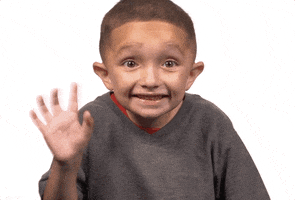 1634136557666.gif