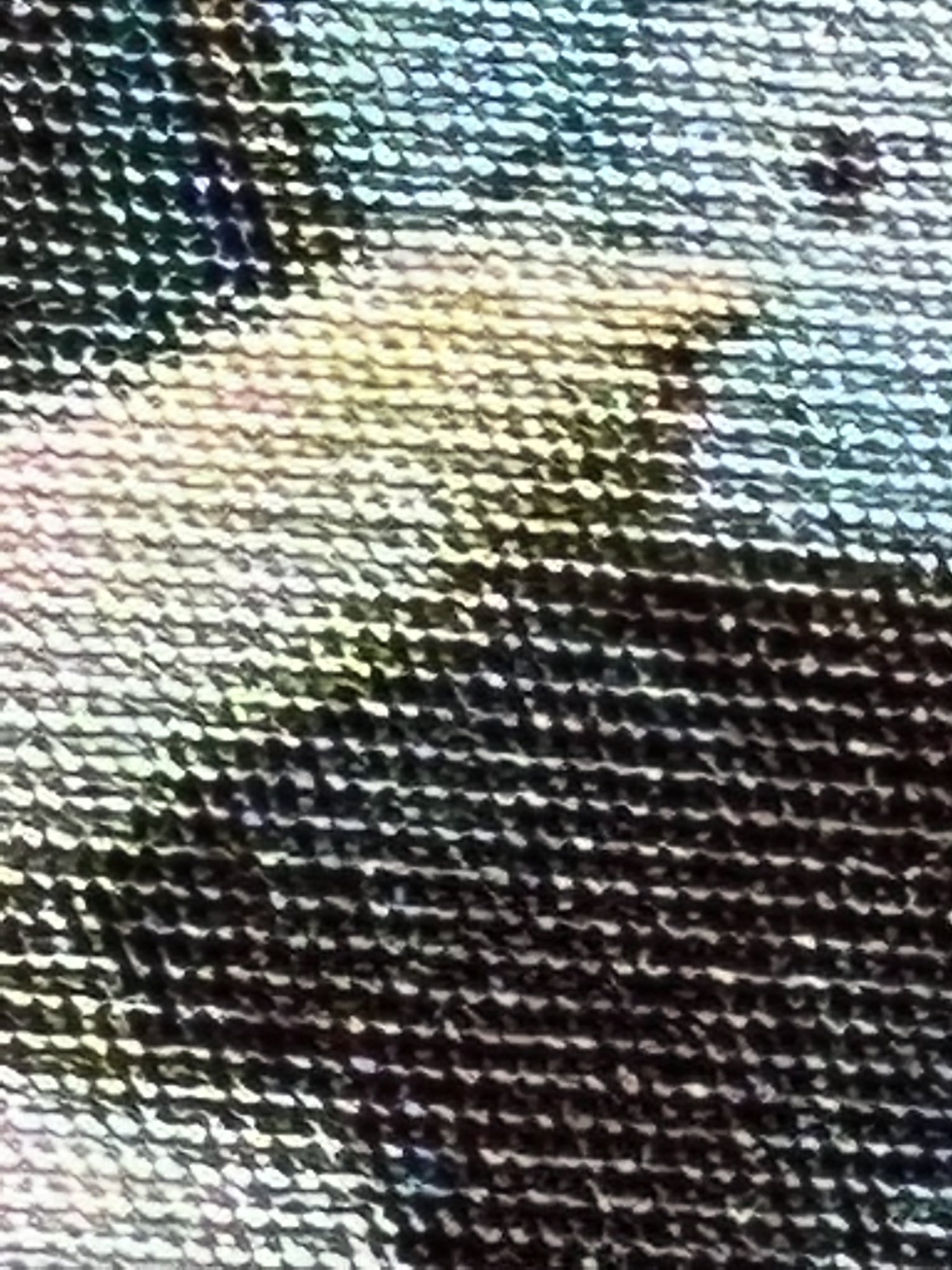 1634870727993.jpeg