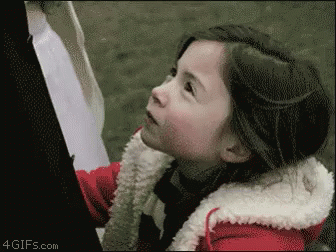 1636339338311.gif