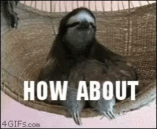 1644617304280.gif