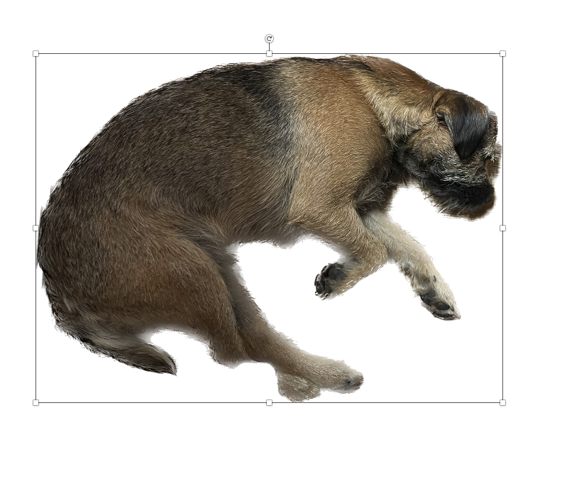 1655391704494.png