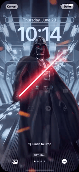 1655993998256.gif