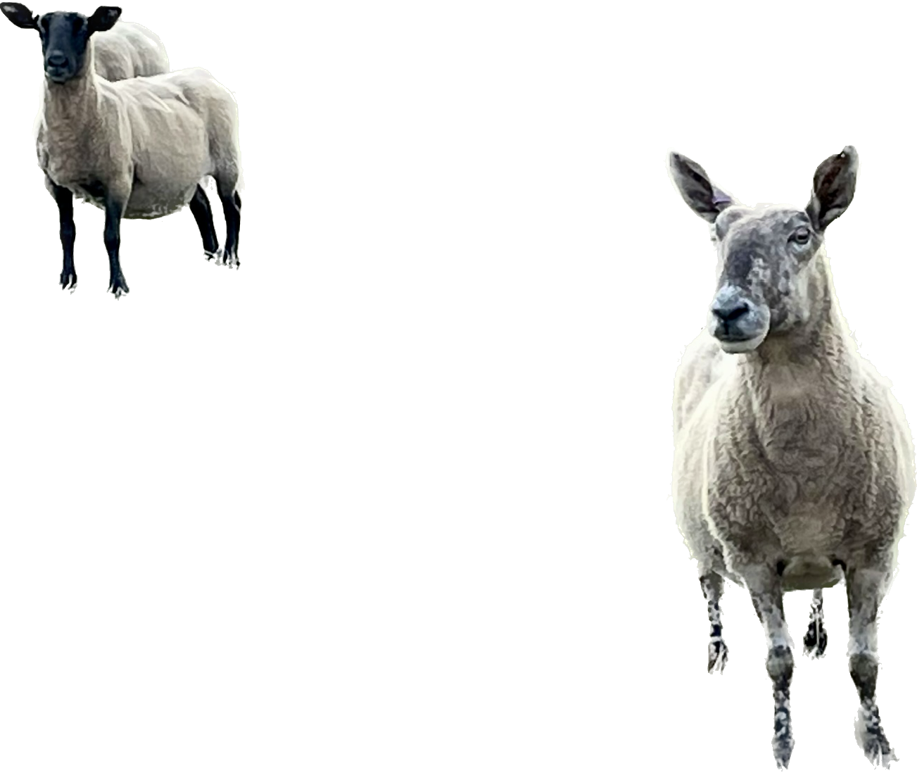1663080143290.png