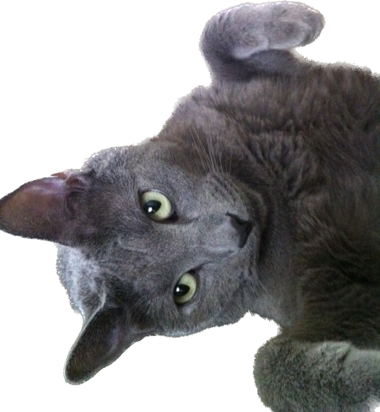 1663112588922.png