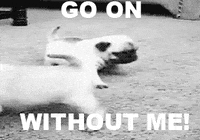 1663342307160.gif