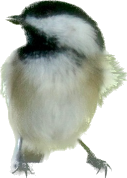 1664971876002.png