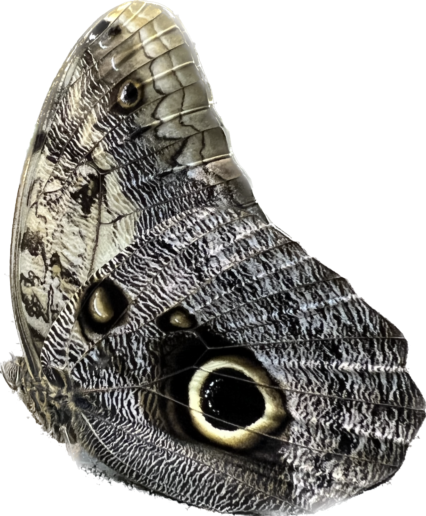 1664974012842.png