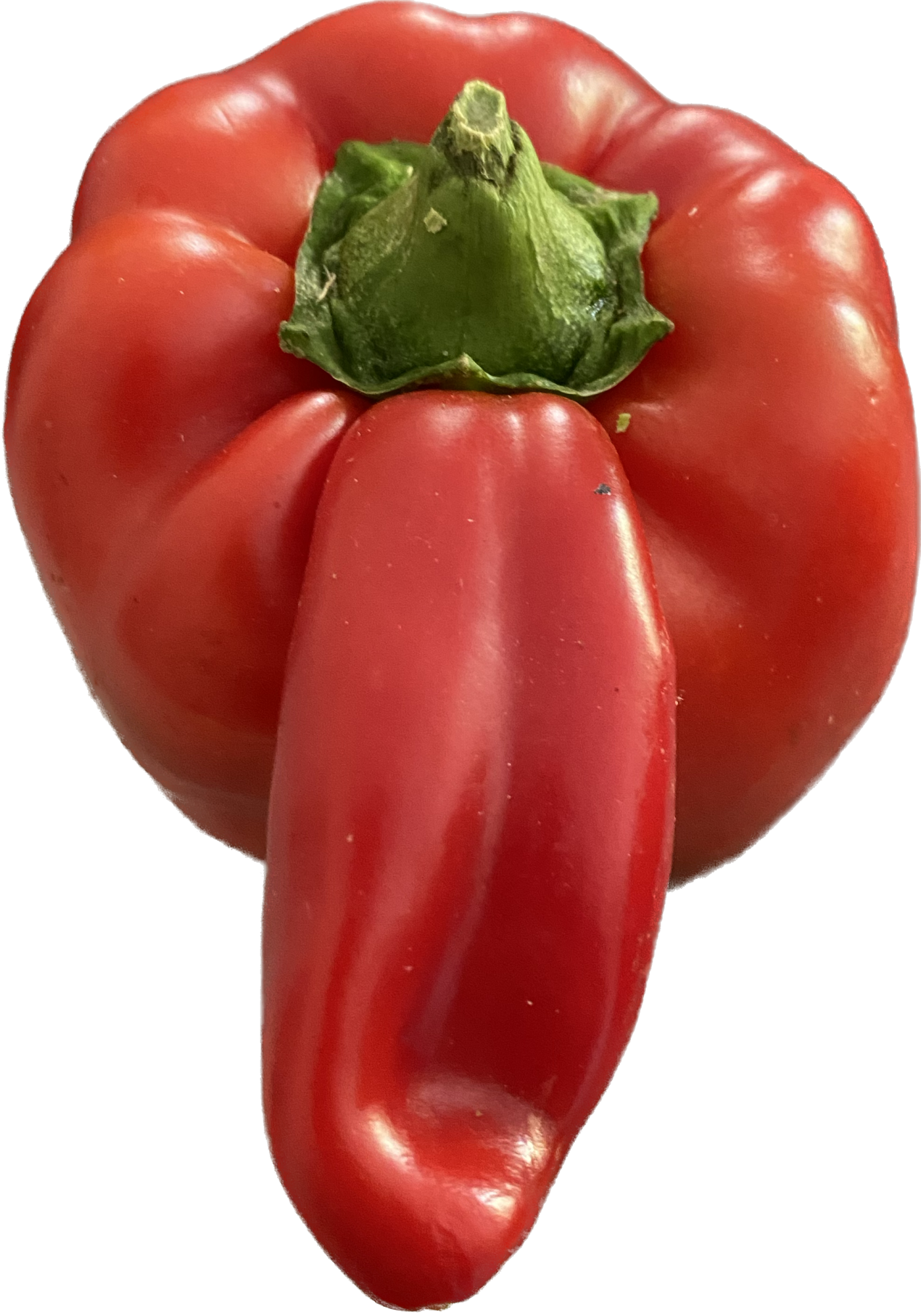 1665003712555.png