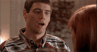 1669833956384.gif