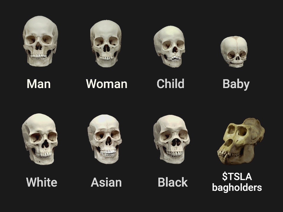 1671643356221.jpeg