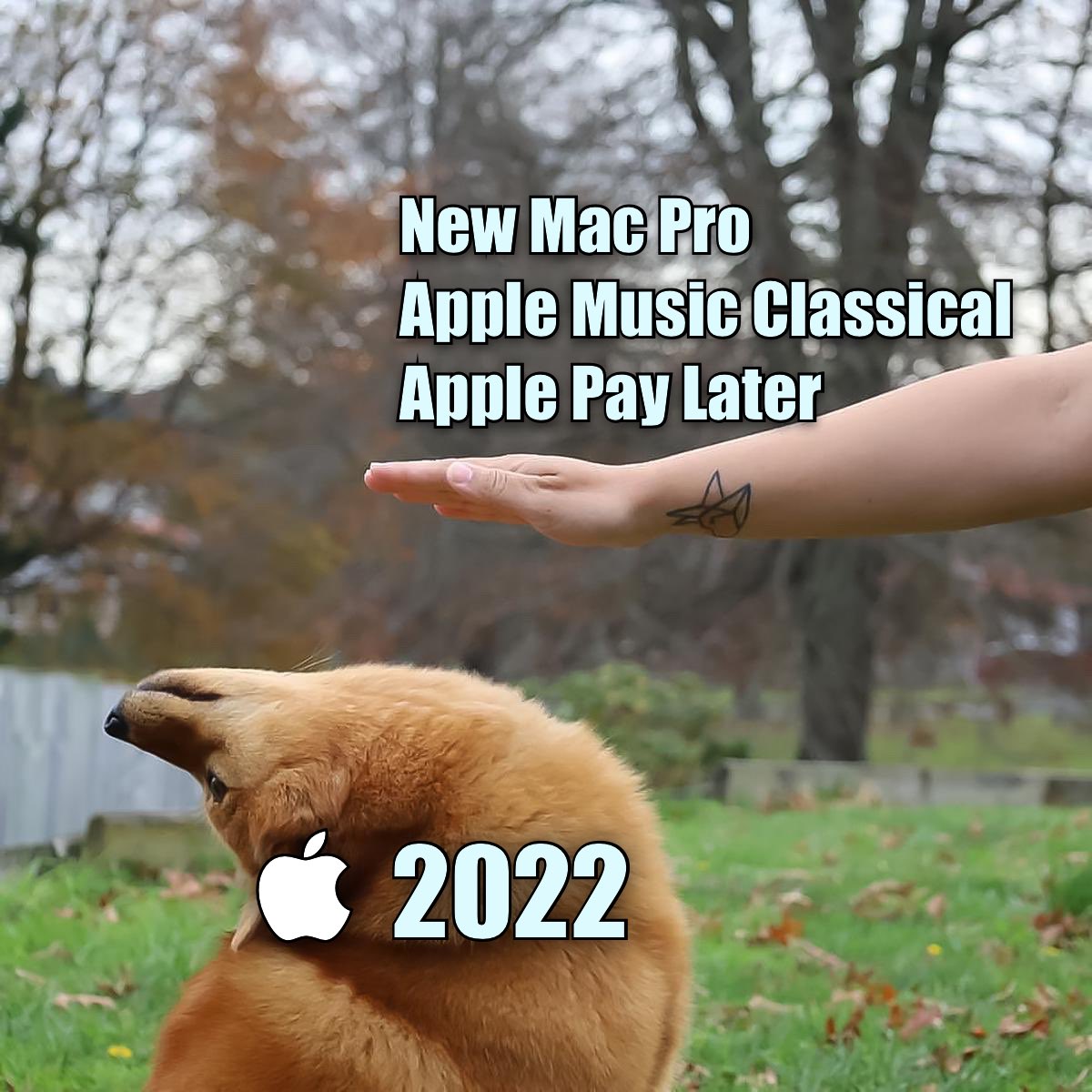 1672571189515.jpeg