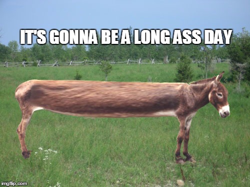 1672590262401.jpeg