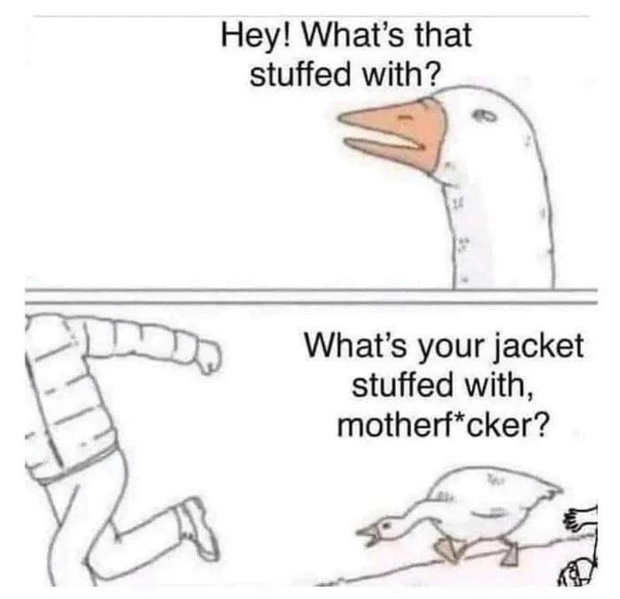 1675003366005.png