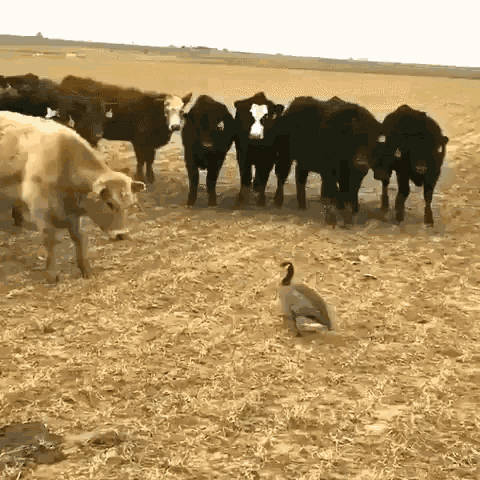 1675005128184.gif