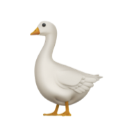 1677678003240.png