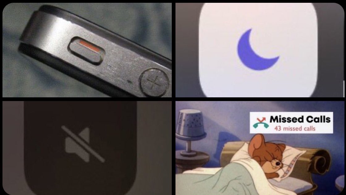 1684421442789.jpeg