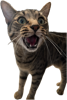 1690497508896.png