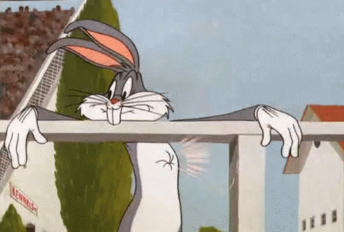1691365892488.gif