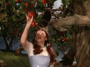 1694786180229.gif