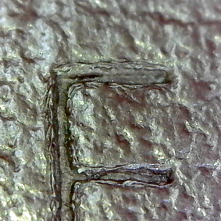 1694F630-BAB5-4AAD-B5BE-66B3FC2D28ED.jpeg