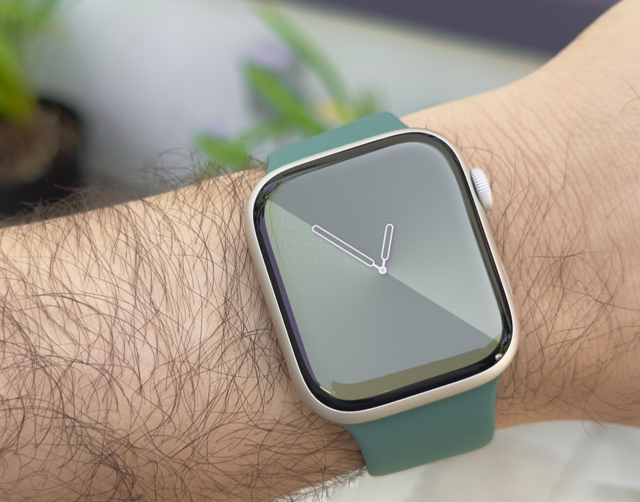 Cactus sport band apple new arrivals