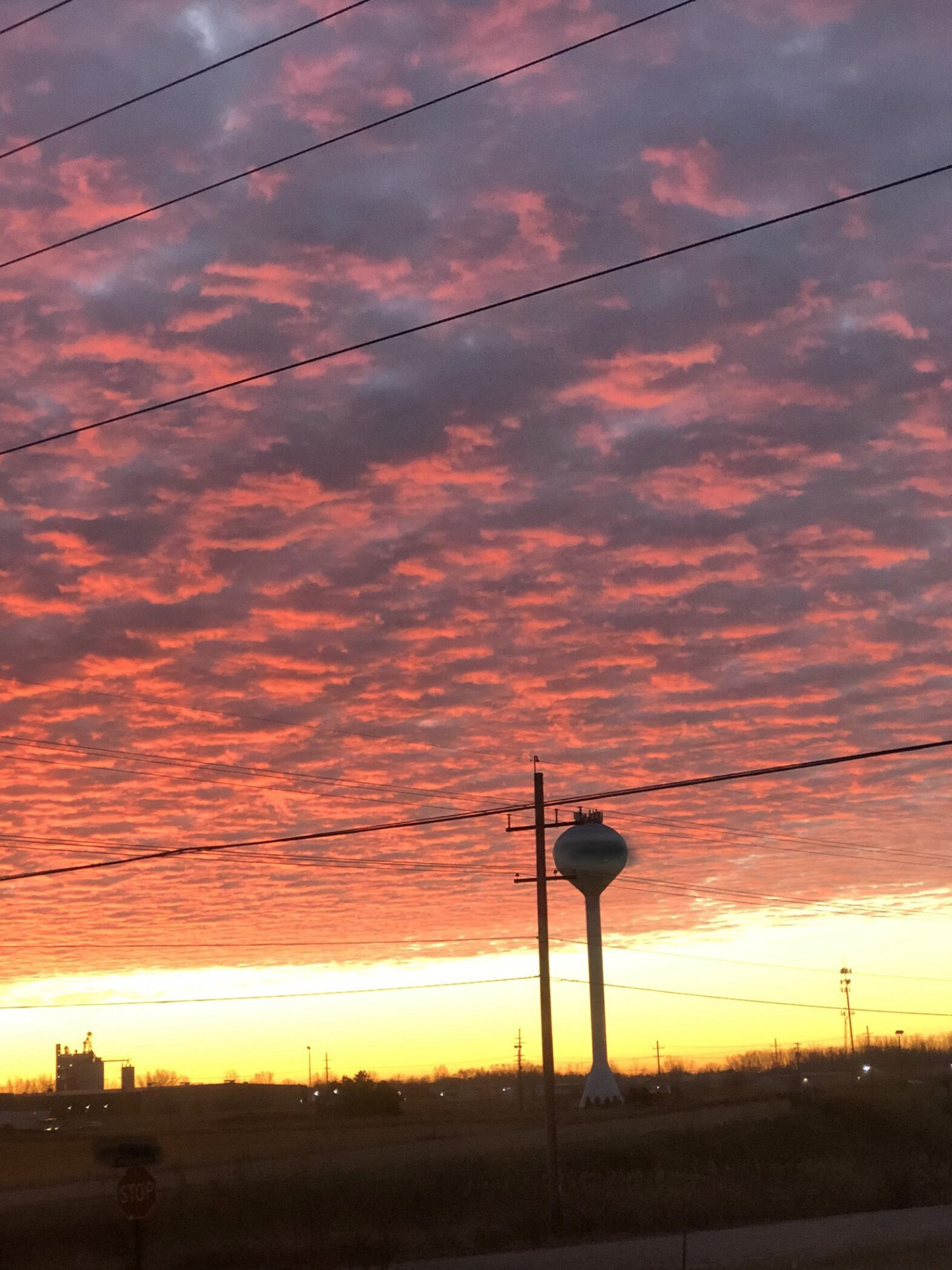 169826BF-8444-422C-8C6C-3343497EB2A5.jpeg