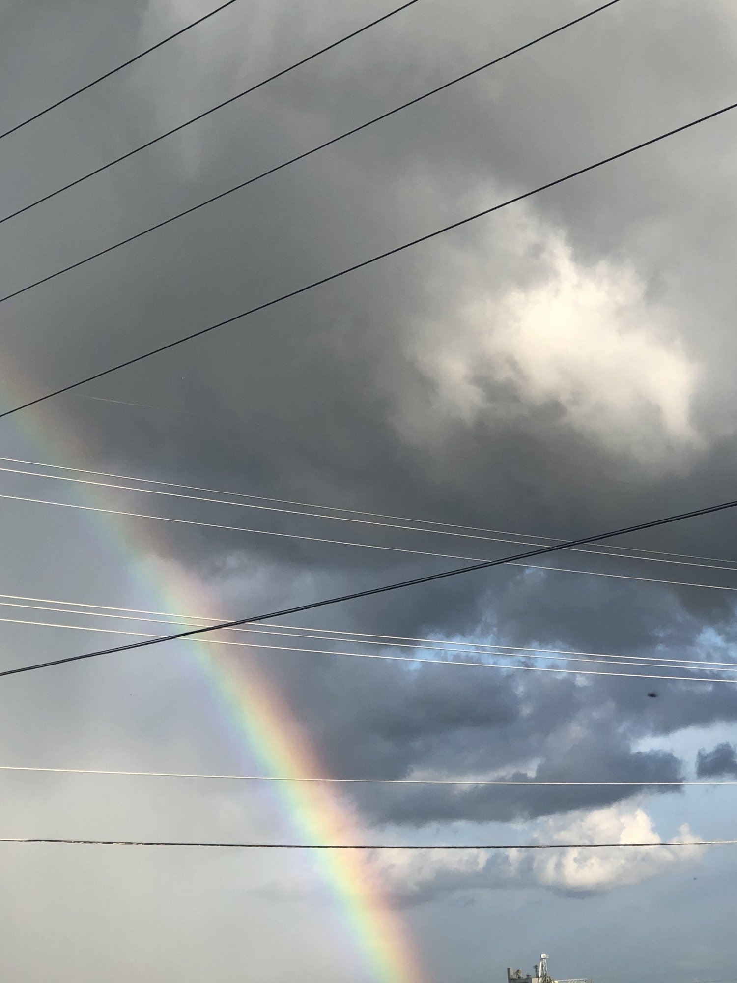16BA3962-9C2F-4F9A-BD47-58BD3BF1542A.jpeg