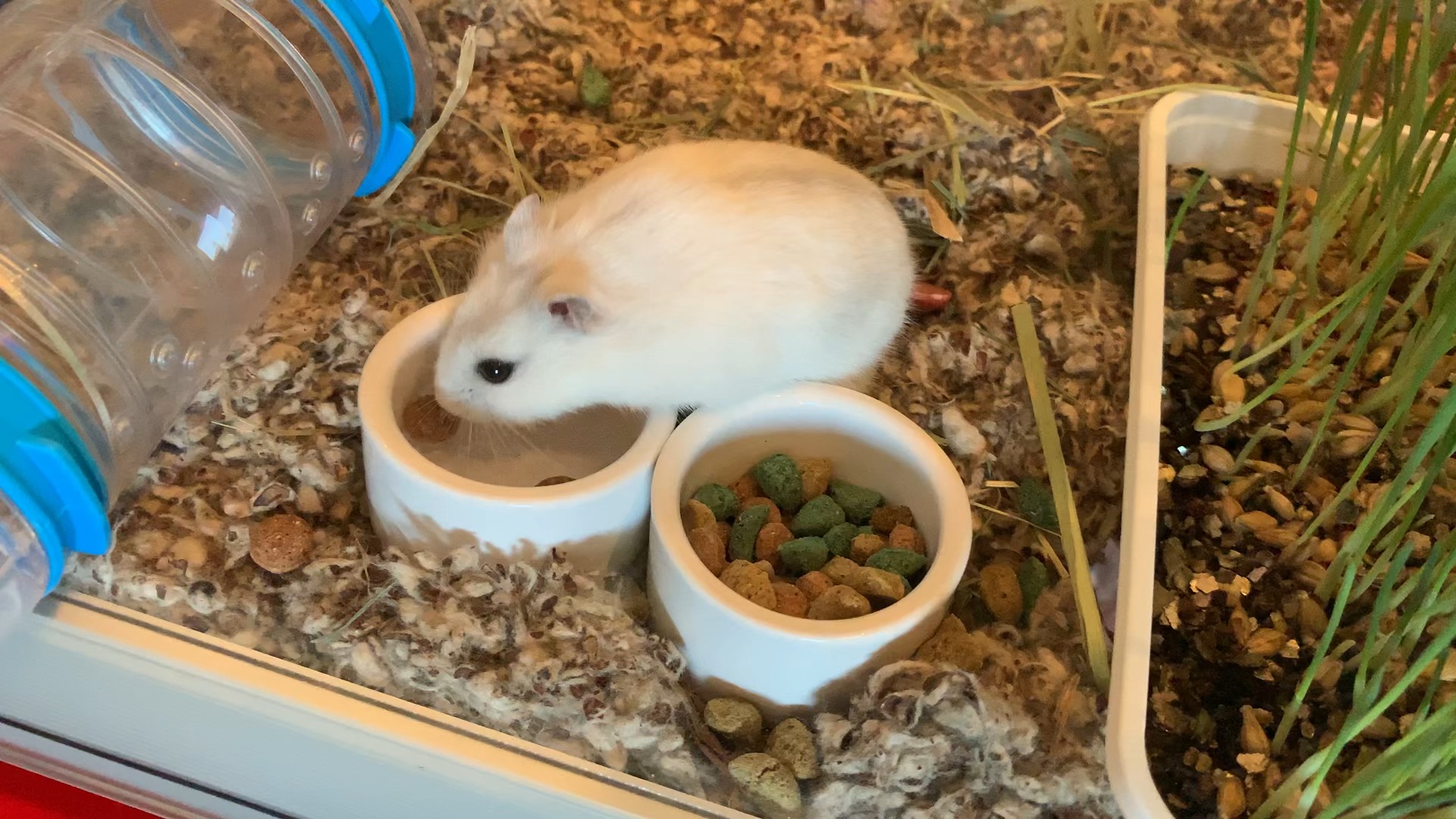 1700908191003.jpeg