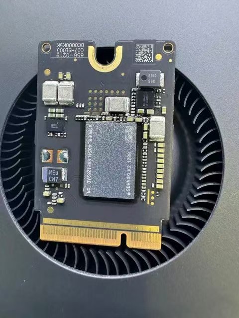 1731034877309.jpeg