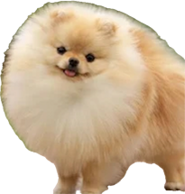 1743541649929.png