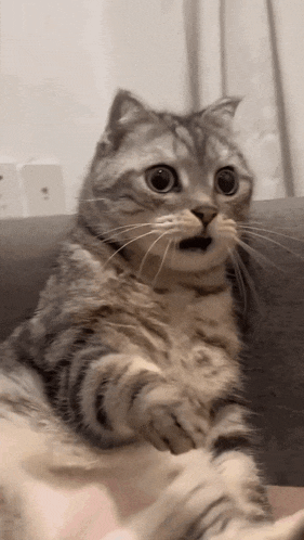 1758045923810.gif
