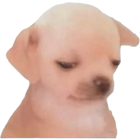 1759446455694.png