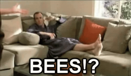 1785342242525.png
