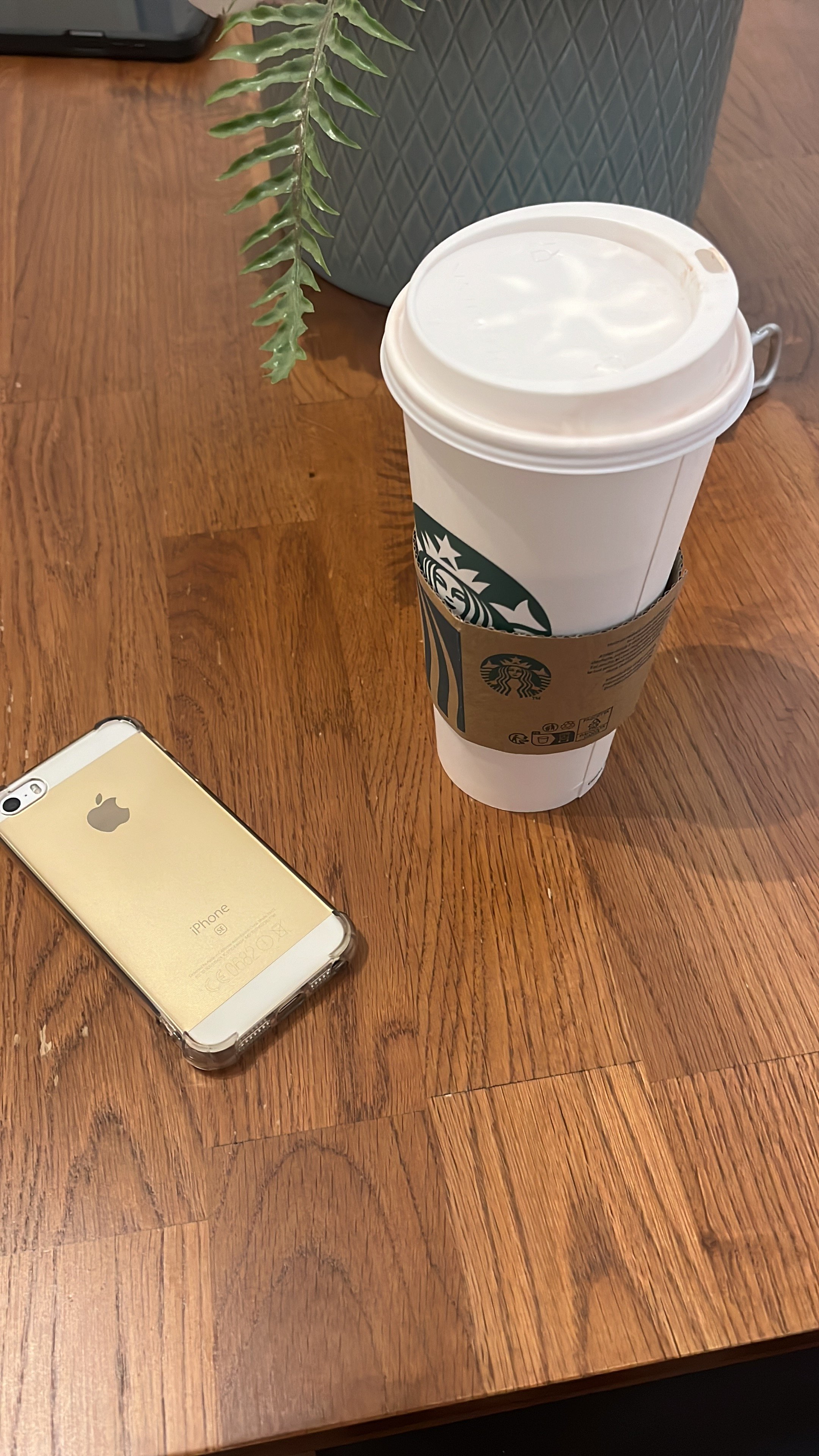 17AD550C-DA8F-46C1-BC1F-EC24BB6598C3.jpeg