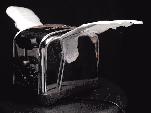17FVE-3107503894.gif