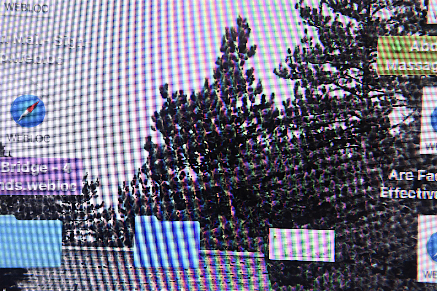 18mm+4CU.jpg
