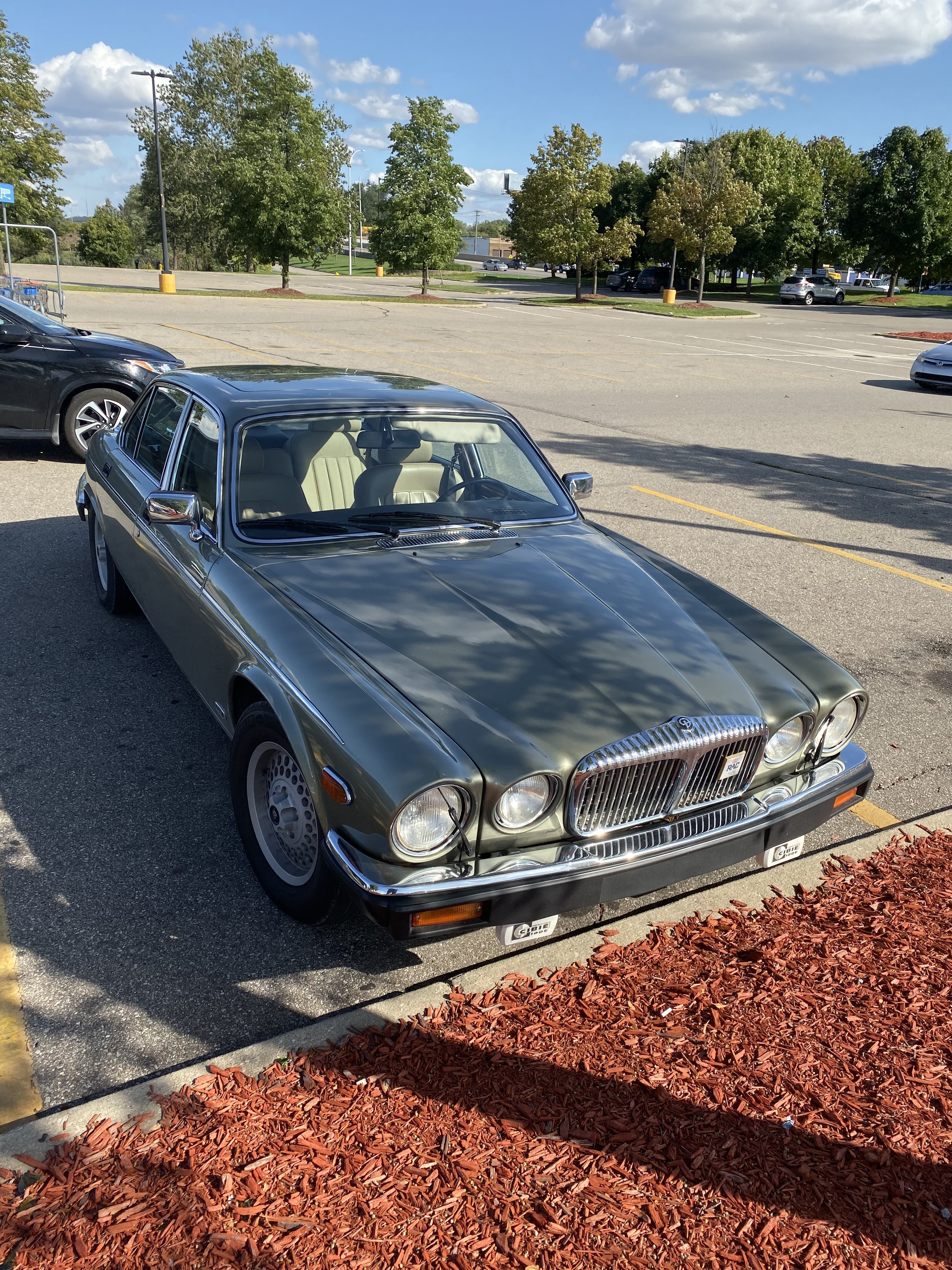 1991DB2A-2174-44EE-97C3-58903C0C7A3F.jpeg