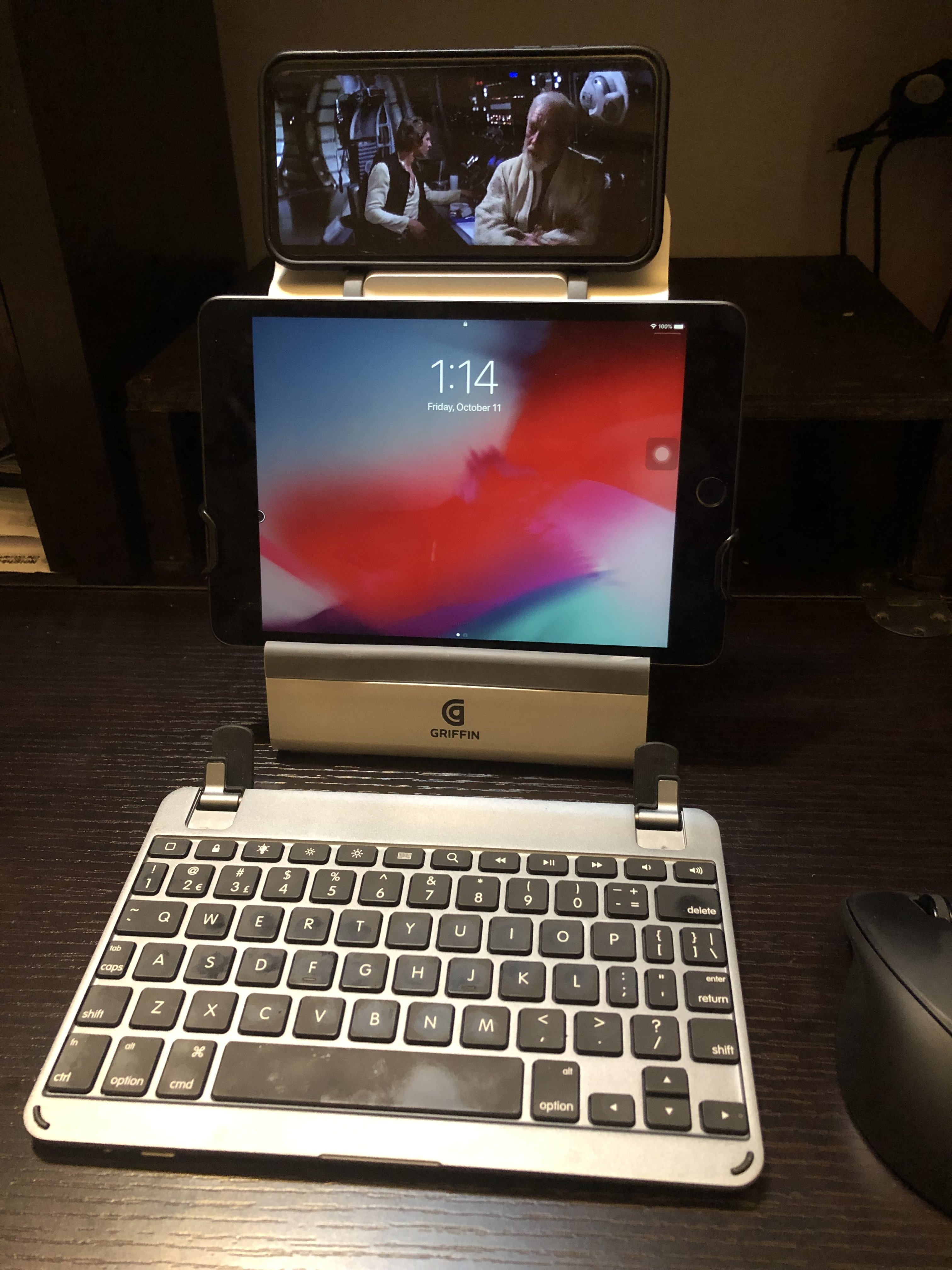 Does anyone have an iPad Mini and a large-sized iPhone? | MacRumors Forums