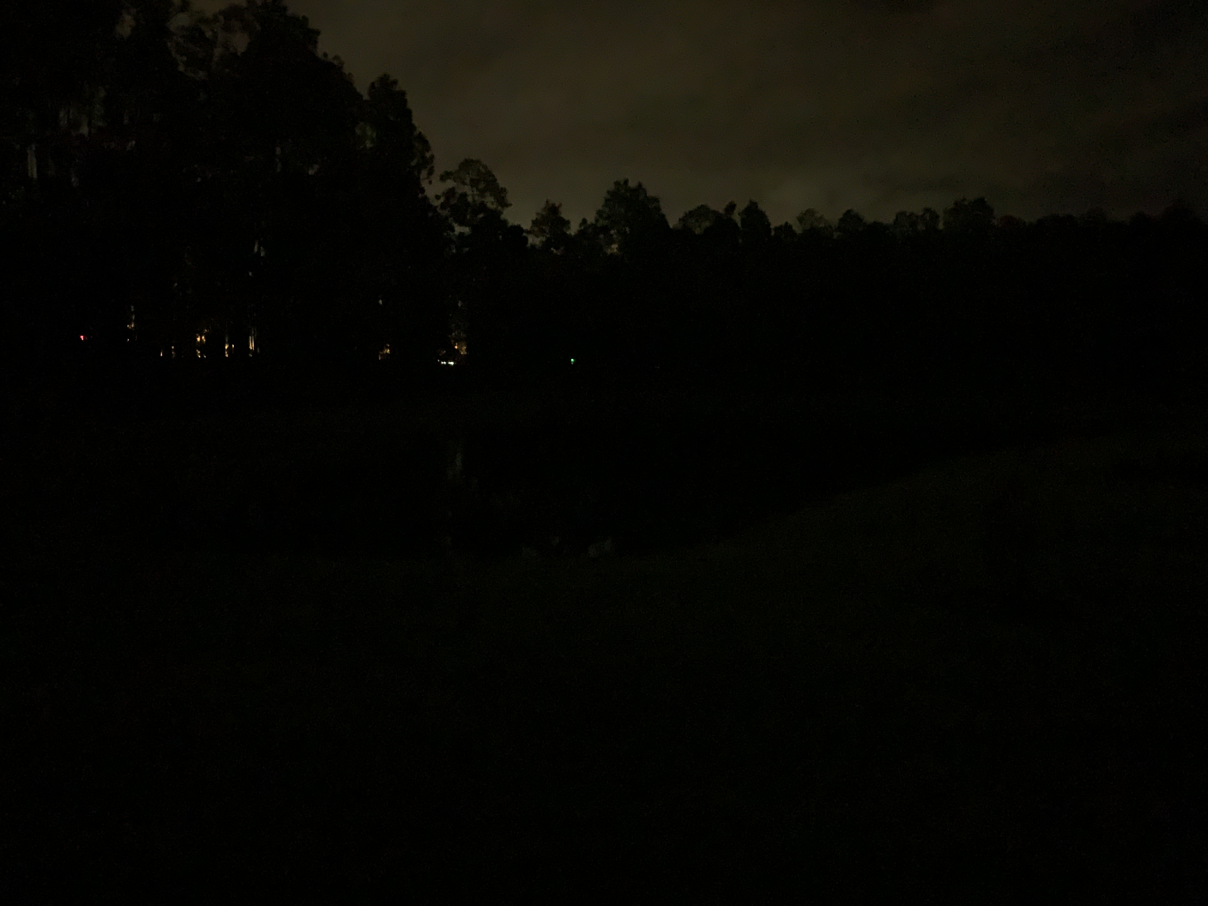 1CC4B2D8-04F8-431E-A3EE-F42593AB642A.jpeg