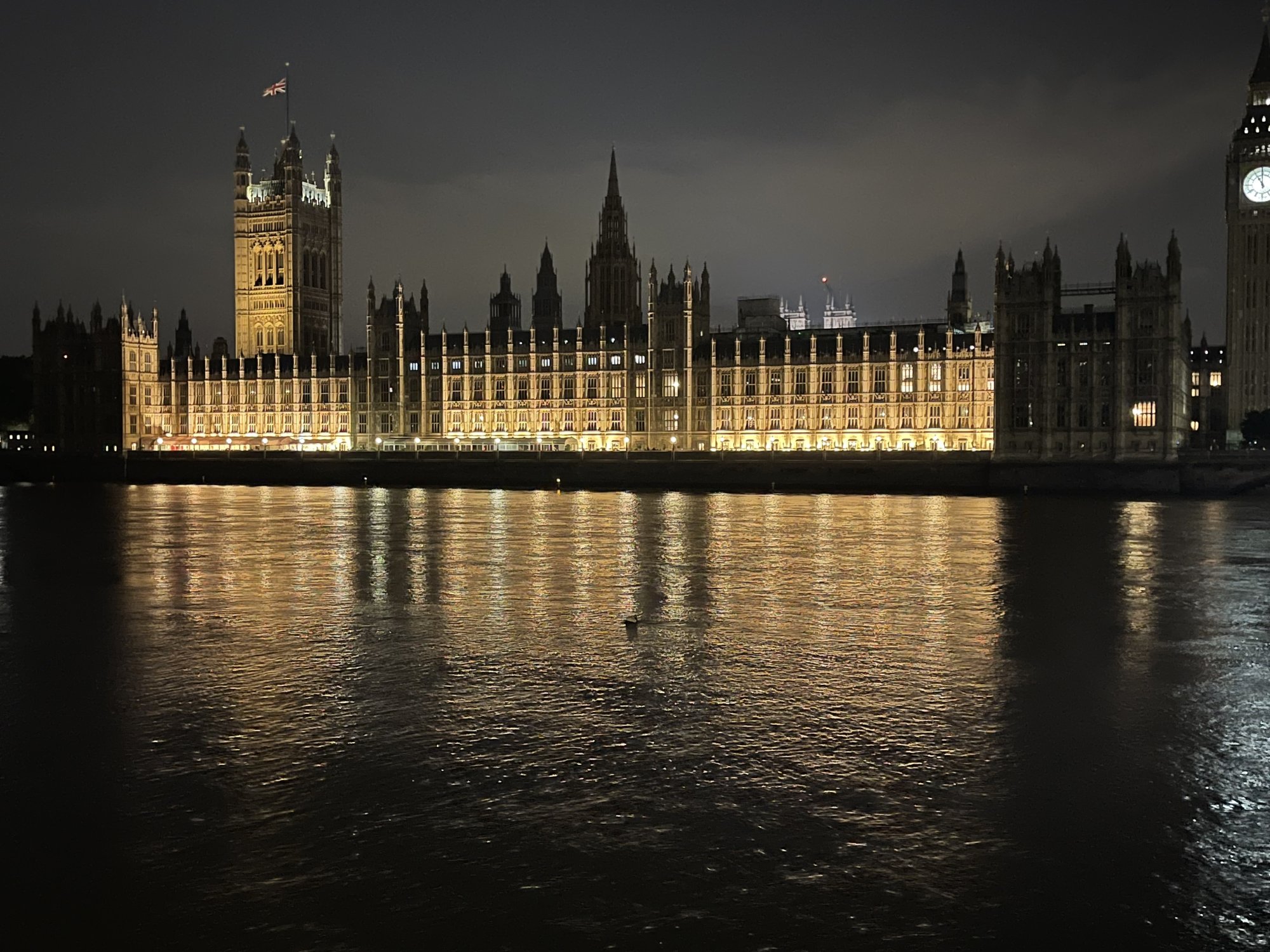1D8A84D4-0211-4052-B745-FD576A7AA9BC.jpeg