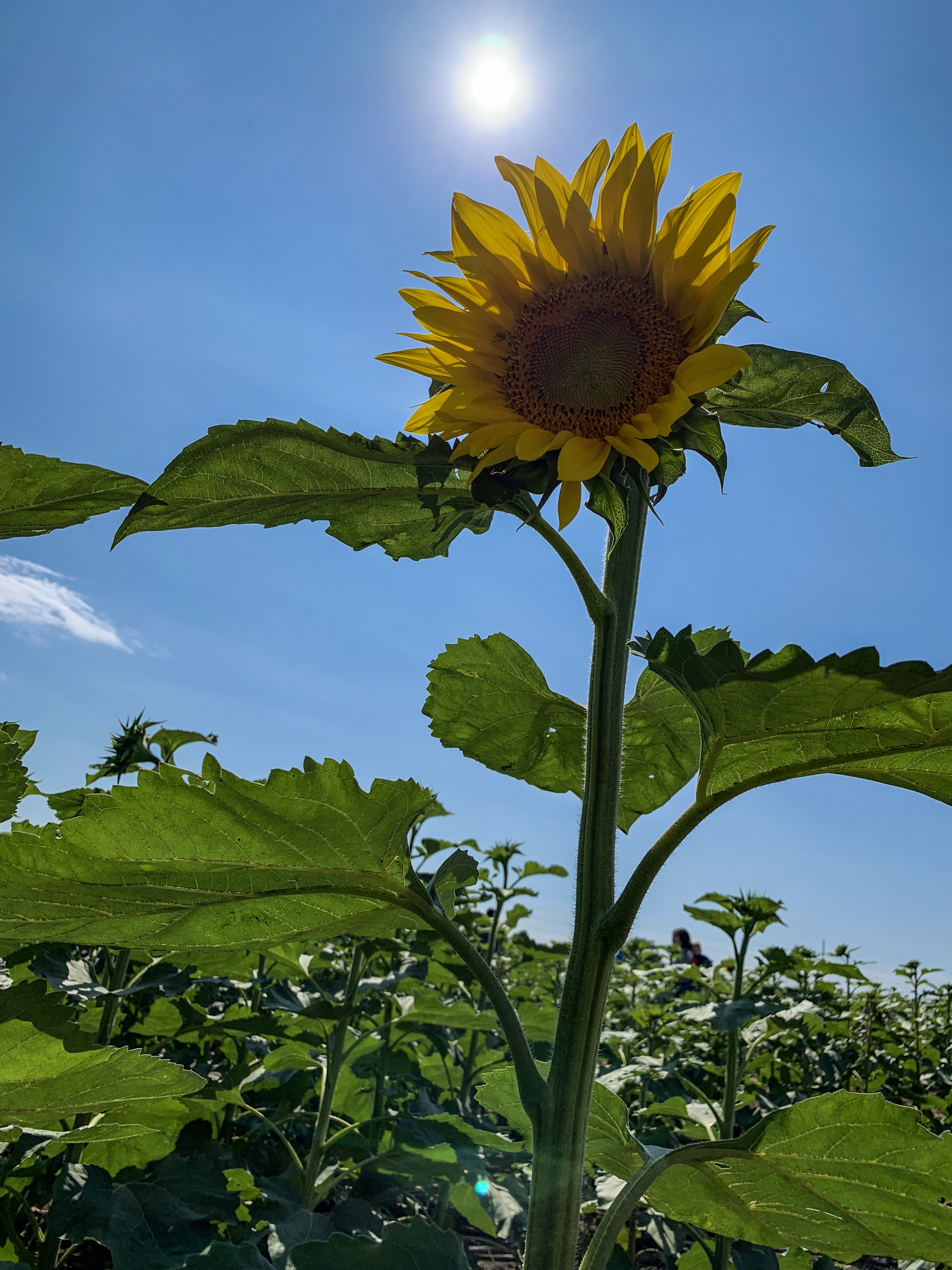 1F0171DE-CB66-4ACD-9D6C-3D9D7C36A6D2.jpeg