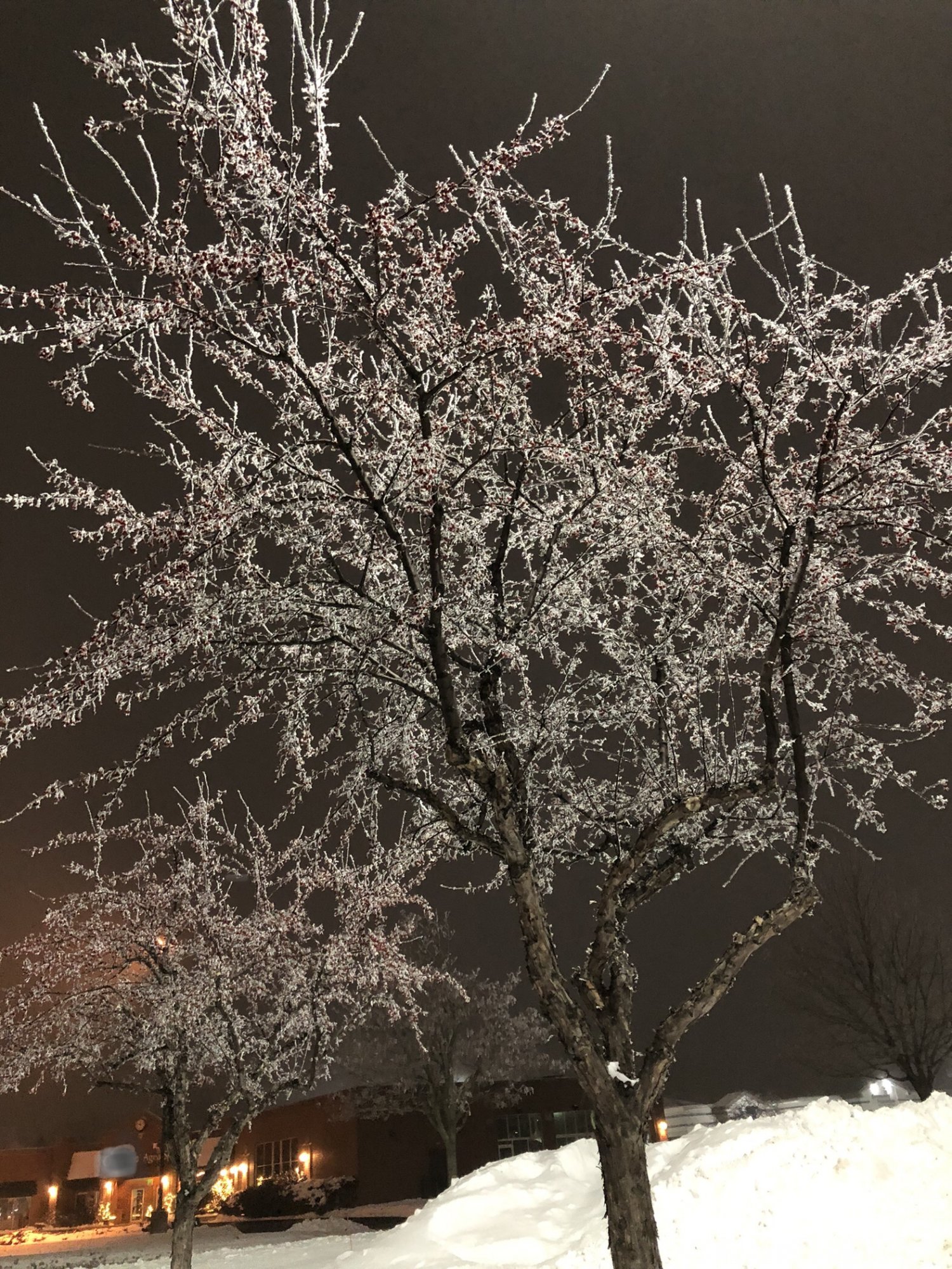 1F5E2AE0-5D04-4729-9374-0B9B365706F6.jpeg