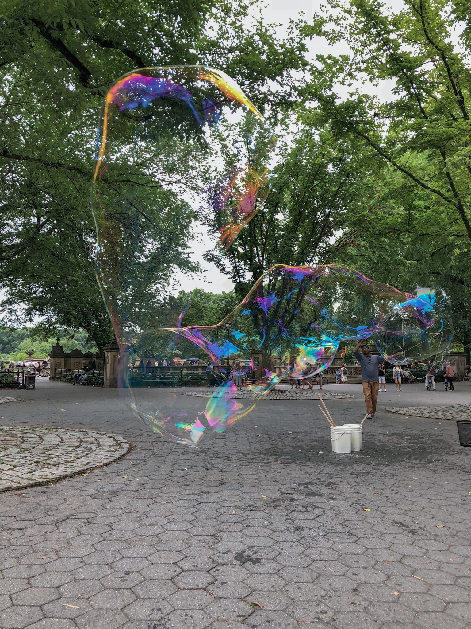 1F6047A5-5D6B-4E61-9A2C-6E44782E6597.jpeg