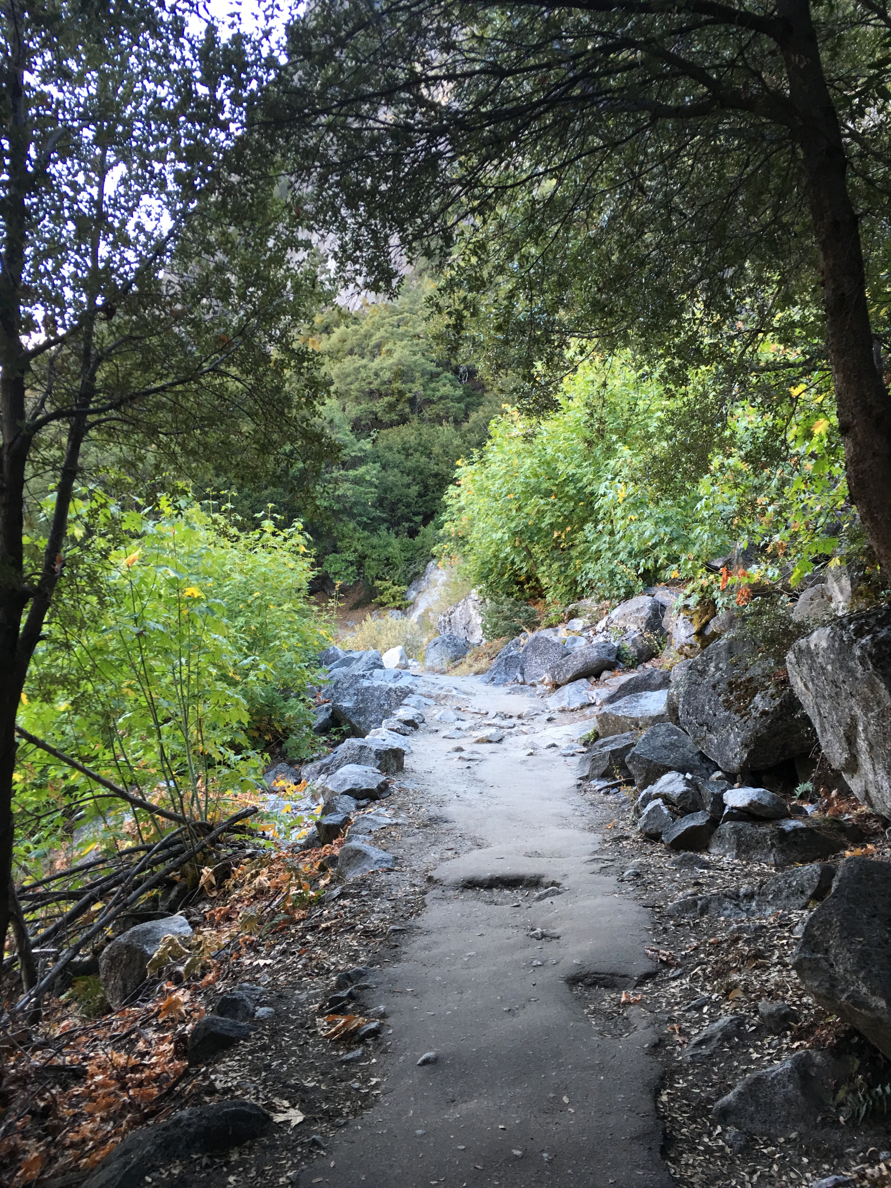 2015-09-26 08.30.32.jpg